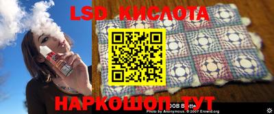 a pvp Славгород