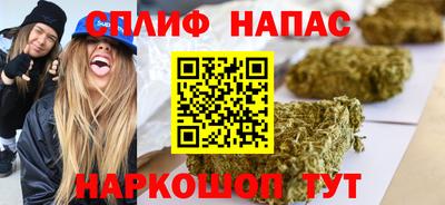 a pvp Славгород