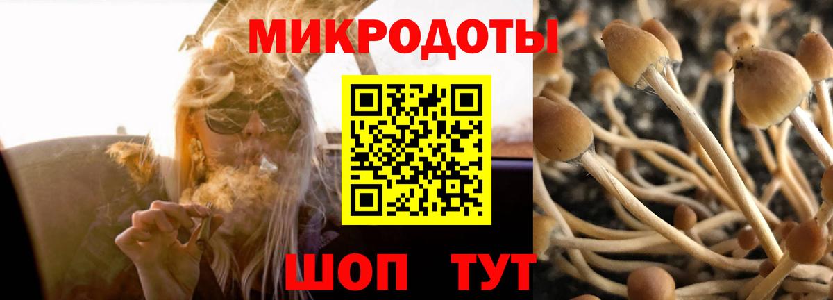 Борзя  Галлюциногенные грибы ЛСД  Вход с VPN  Псилоцибиновые грибы ЛСД 