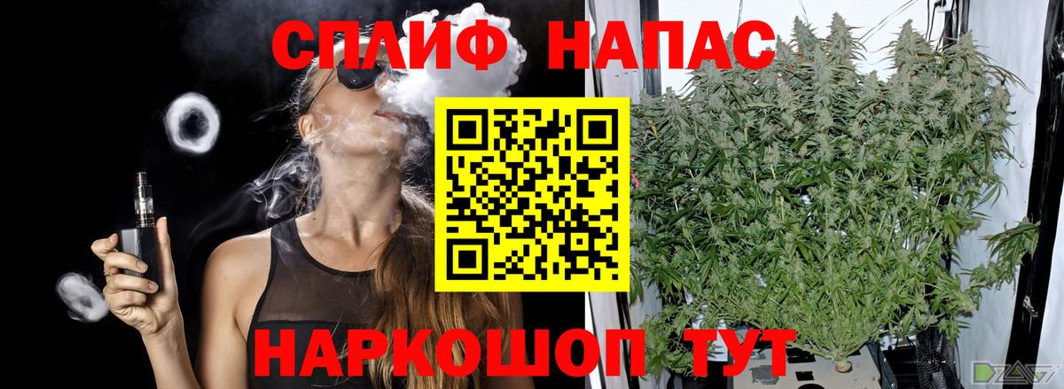 Борзя  Шишки марихуана сатива  Вход с VPN  Бошки марихуана тримм 